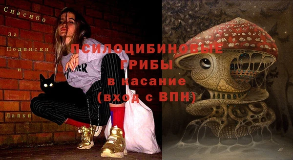mix Горнозаводск