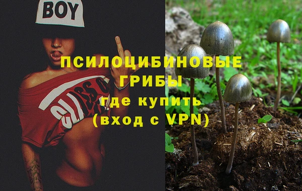 MESCALINE Горно-Алтайск
