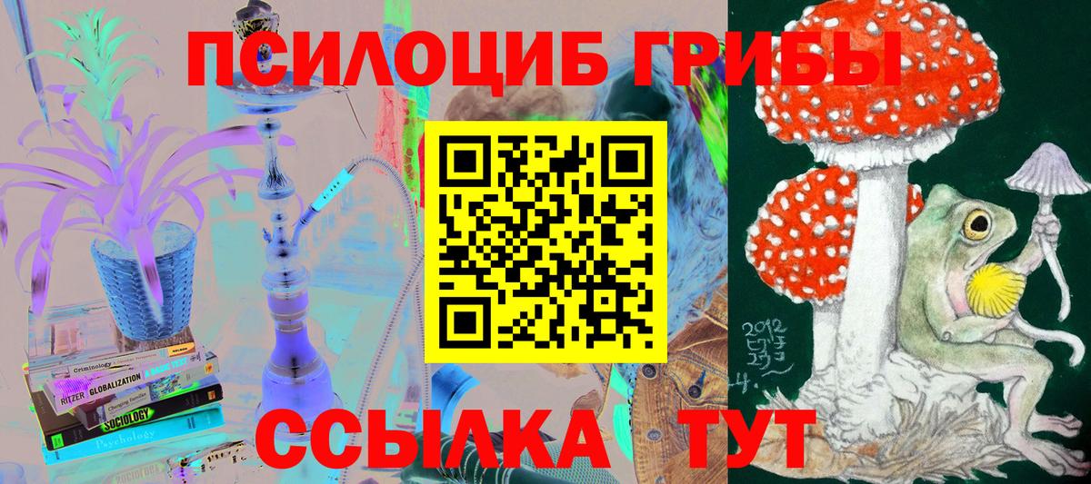 Отрадный  Псилоцибиновые грибы GOLDEN TEACHER  Вход с VPN 